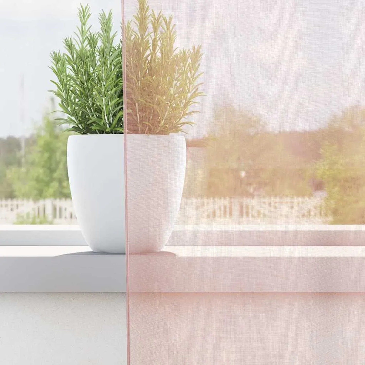 Hellrosa Voile Vorhang, semi-transparent, filtert Licht am Fenster. Gardine 140x175 cm mit Pflanze auf Fensterbank.