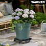 Wagner Pflanzenroller GH 0630, Ø 38cm, schwarz, mit Pflanze im Topf auf Terrasse.