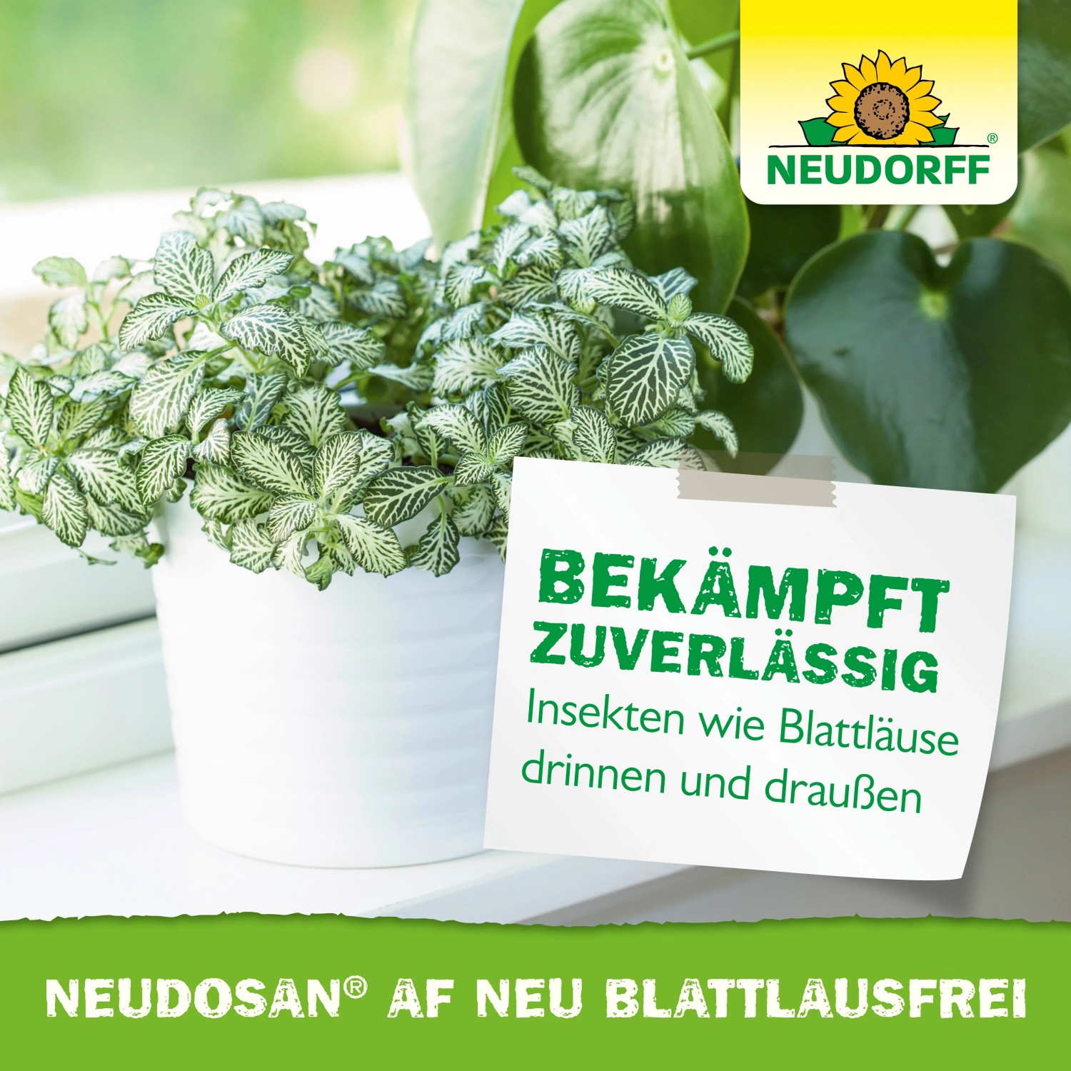 Neudorff Neudosan AF Neu Blattlausfrei: Mittel gegen Blattläuse und andere Schädlinge an Pflanzen.