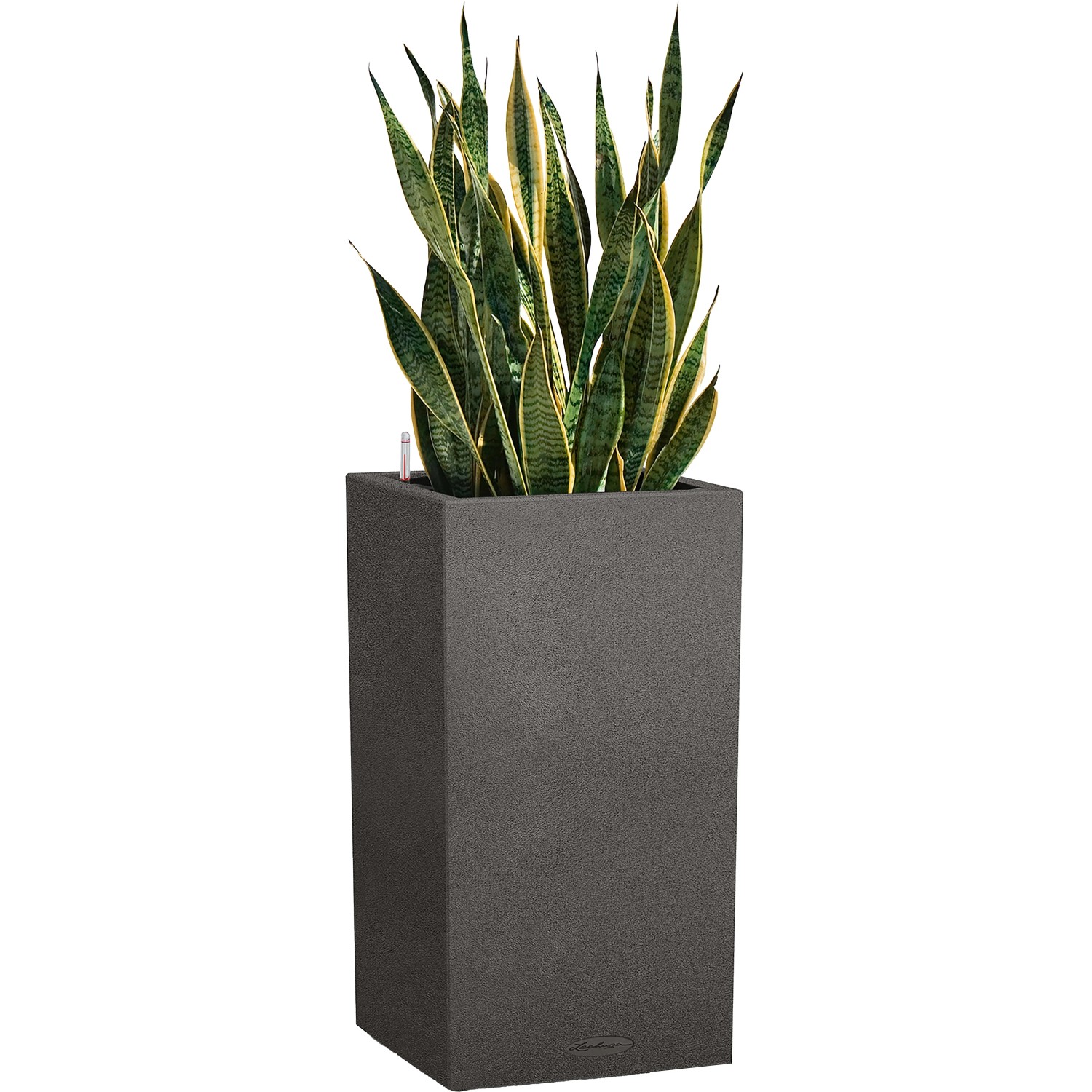 Lechuza Canto Stone high Pflanzgefäß, graphitschwarz, mit Pflanzeinsatz und Bewässerungssystem.