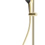 Schulte Duschsystem DuschMaster Rain Classic in Goldoptik mit Kopf- und Handbrause.