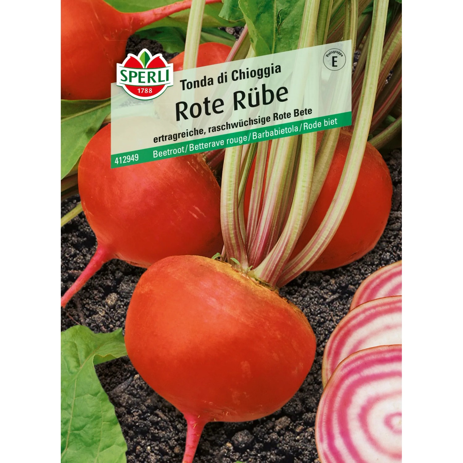 Sperli Rote Rüben "Tondo di Chioggia"