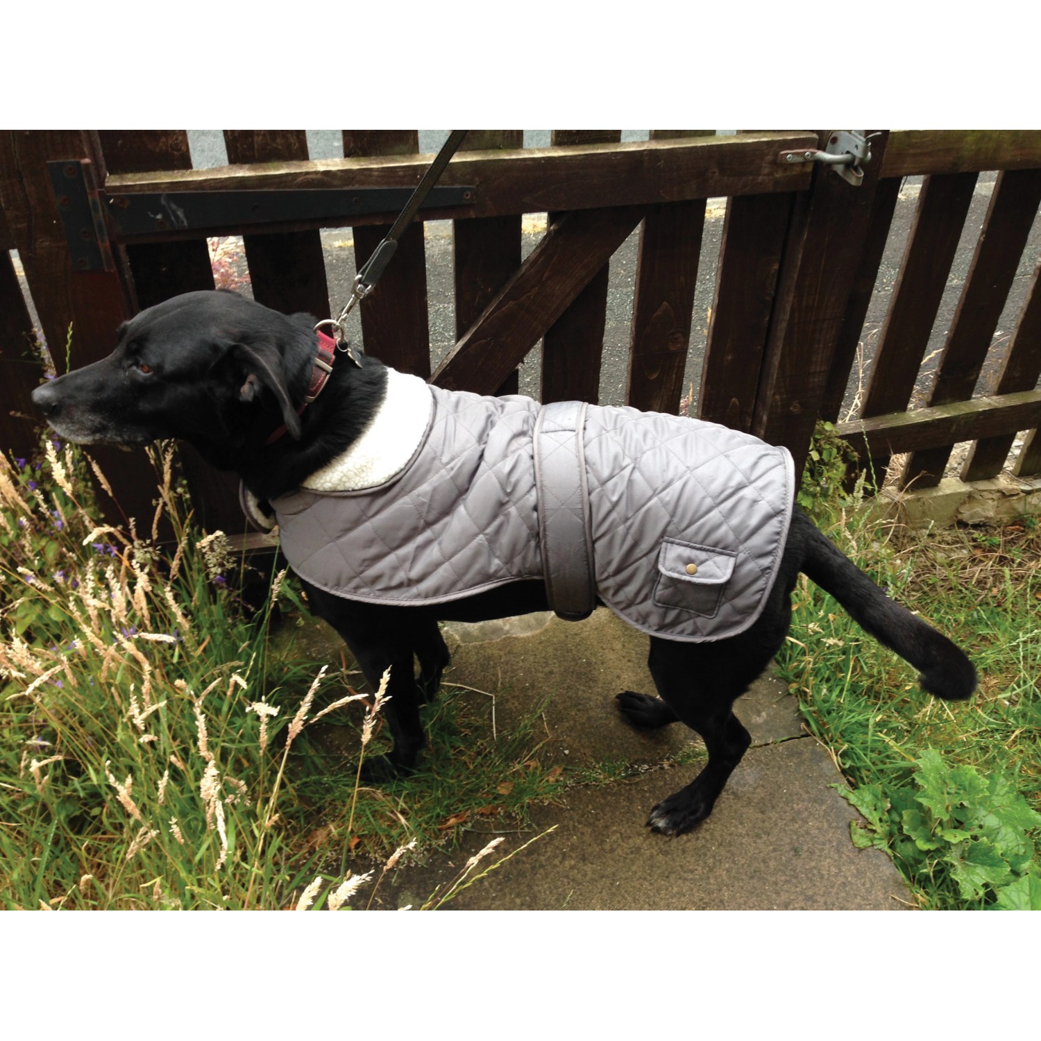 Grauer Heim Hundemantel Banbury, Größe M, mit Kragen und kleinem Täschchen am Rücken.