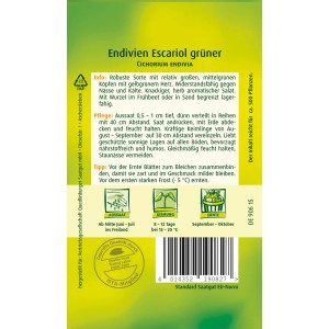 Samentüte Endivie 'Escariol grüner' von Quedlinburger: robuste Sorte für Herbst-/Wintersalat.