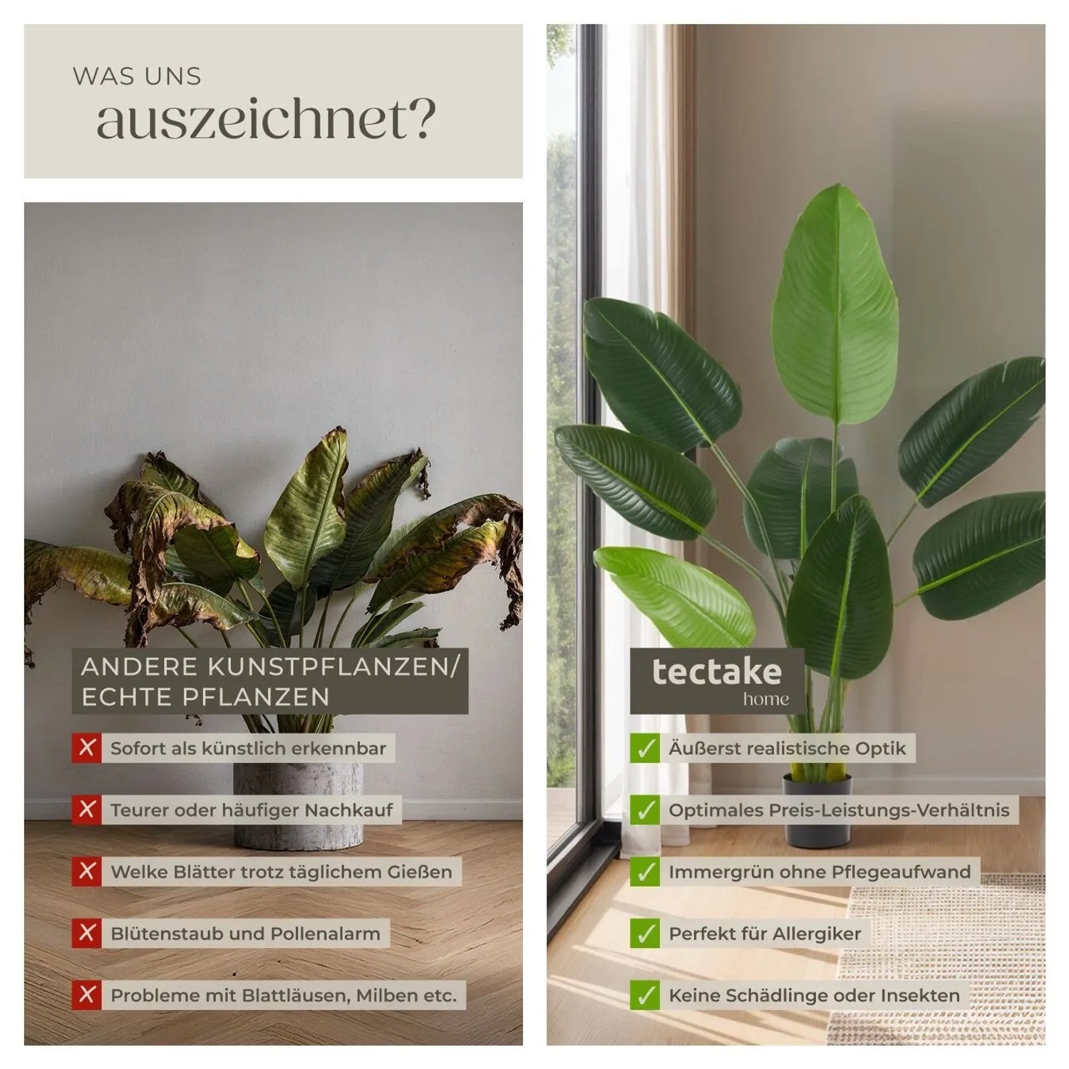 Tectake künstlicher Paradiesvogelbaum, 120cm, im Vergleich zu echter Pflanze: pflegeleicht, immergrün.