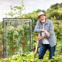 Transparentes Tomatengewächshaus mit reifen Tomatenpflanzen und einem Gärtner im Garten.