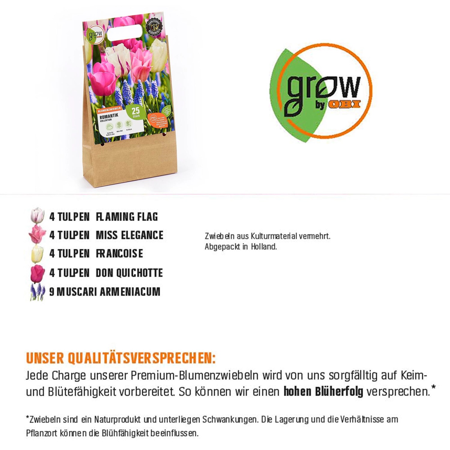 GROW by OBI Romantik-Kollektion: Blumenzwiebeln-Mischung mit rosa, weißen und blauen Blüten, 25 Stück.