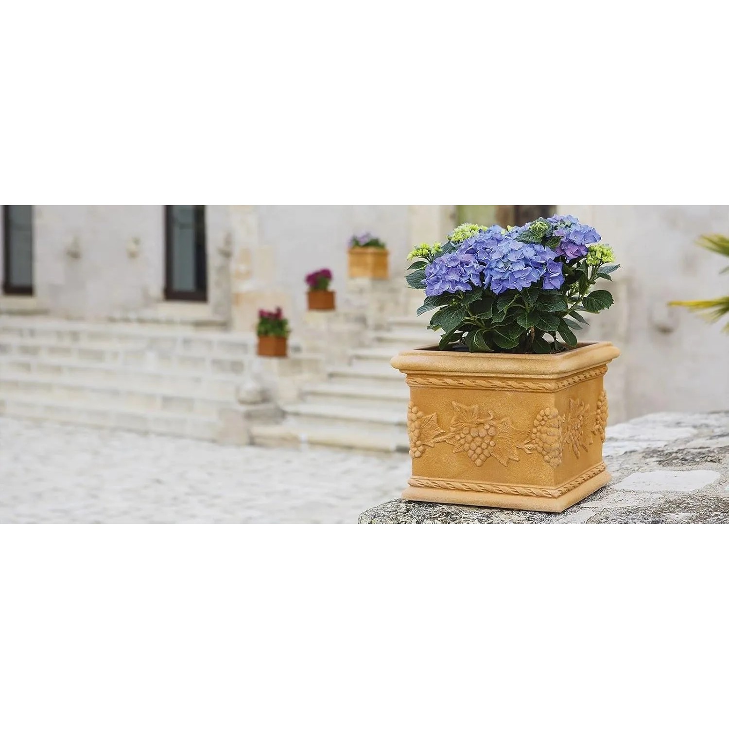 Mein-Pflanztopf Blumentopf Kunststoff Venedig quadratisch mediterran 25 x  25 cm kaufen bei OBI