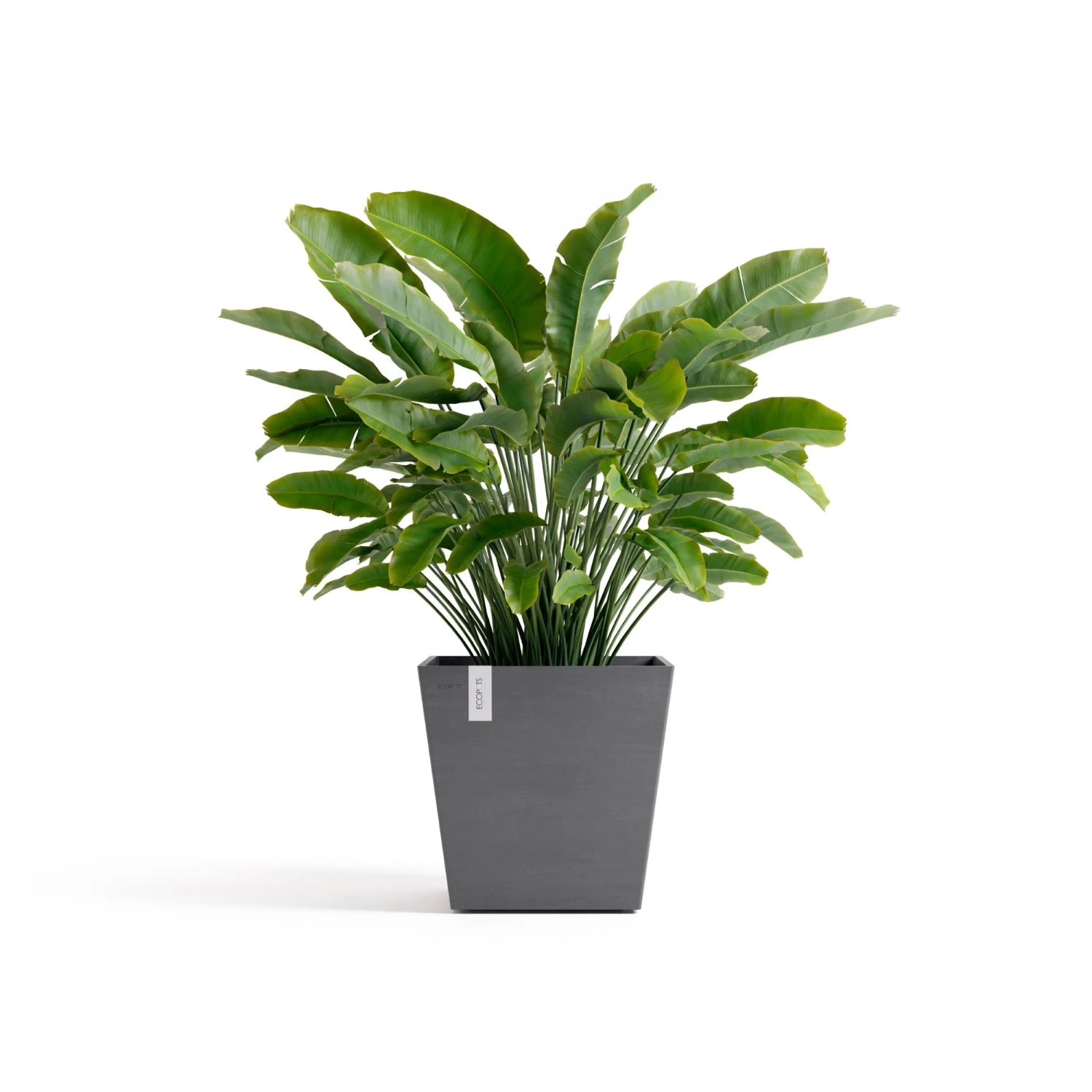 Ecopots Pflanztopf Rotterdam Grau 45,4 cm x 44 cm günstig online kaufen