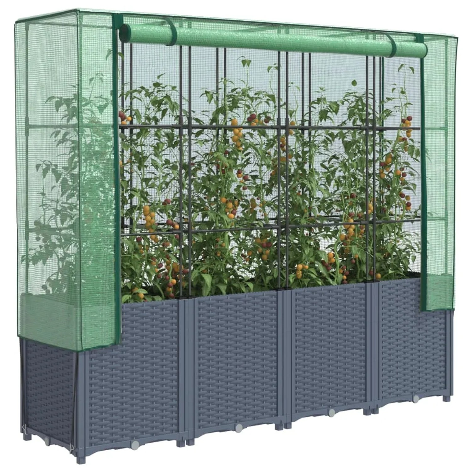 Dunkelgraues vidaXL Hochbeet mit Gewächshaus-Aufsatz in Rattan-Optik und Pflanzen.