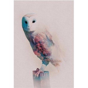 Wandbild Animals Forest Owl (50x70 cm): Eule mit Wald-Doppelbelichtung auf Holzpfosten.