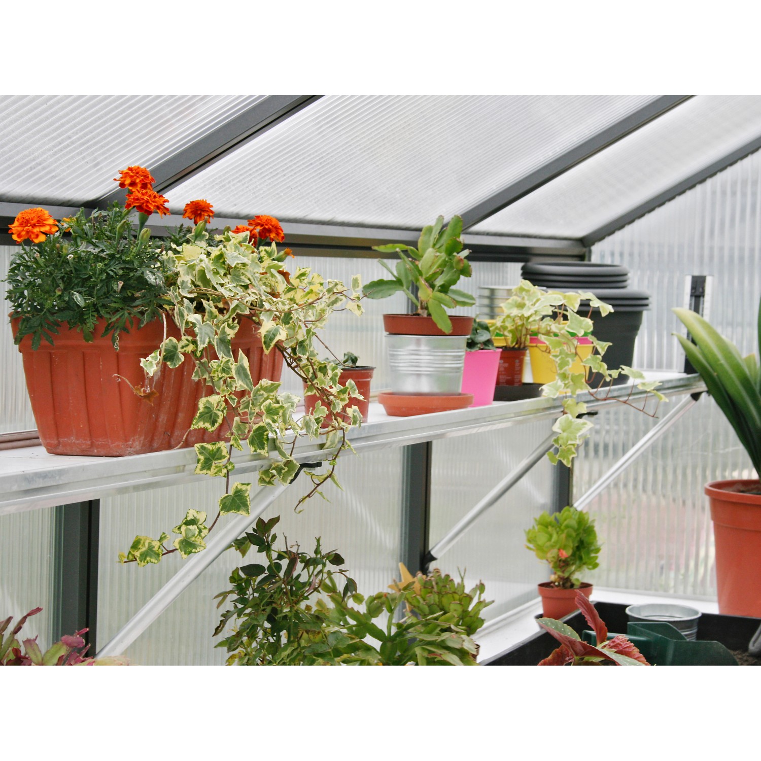 KGT Hängebord Rhodo III Alu blank, 26 cm tief, mit Pflanzen im Gewächshaus.