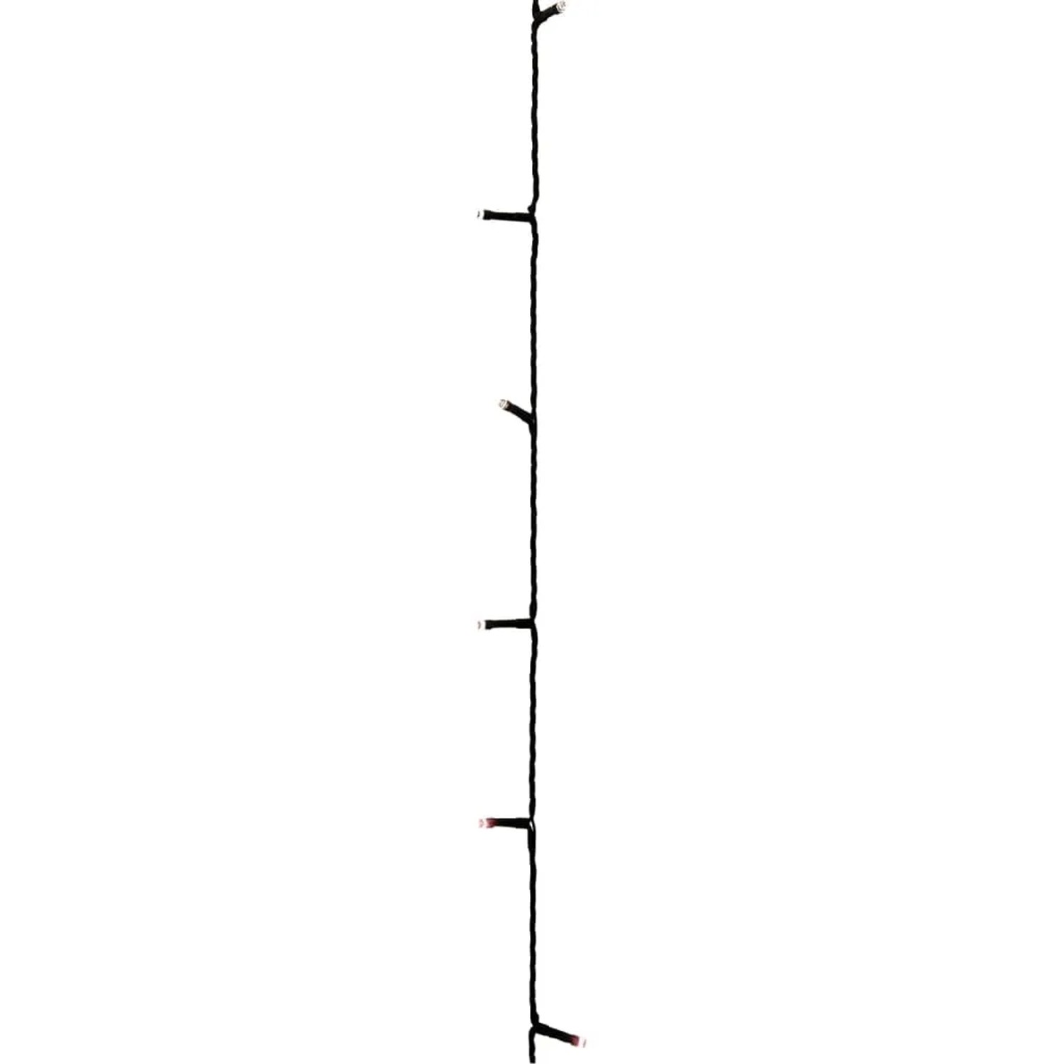 Schwarze LED-Lichterkette mit 300 warmweißen LEDs, 30 m lang, für Außenbereiche. Dekorative Beleuchtung.
