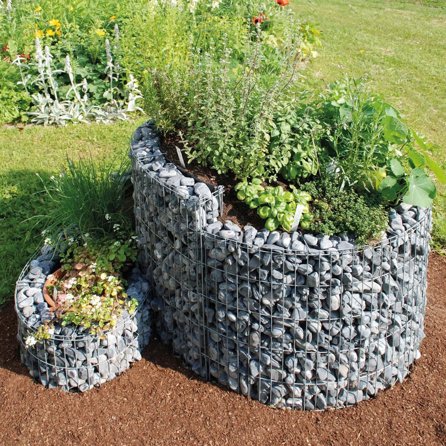 Bellissa Gabionen-Kräuterspirale, kleine Ausführung befüllt mit Steinen und Kräutern.