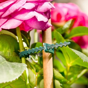 Windhager Pflanzenbinder, 13 cm, grün, zur Befestigung von Pflanzen an Stäben.