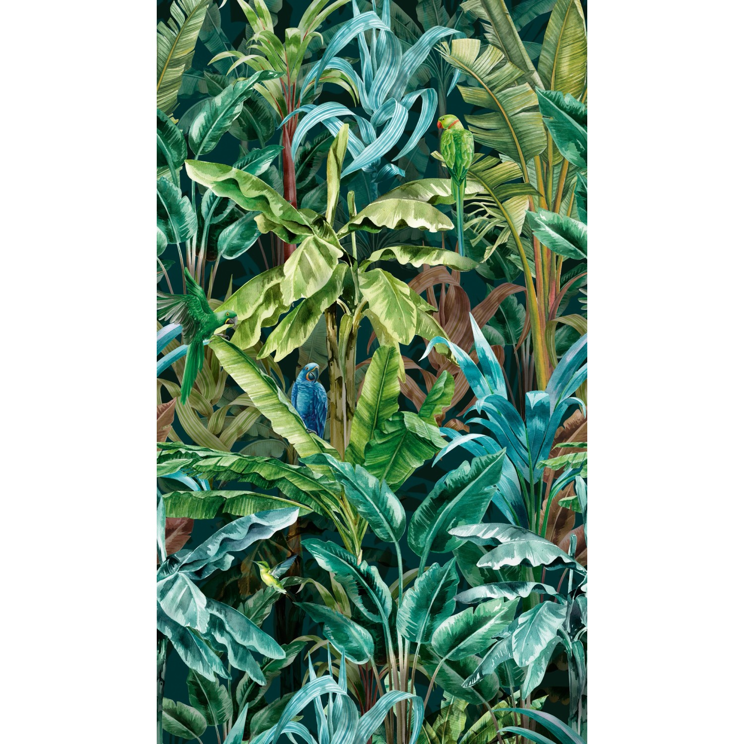 A.S. Creation Fototapete Dschungel Papagei 1,59 m x 2,8 m Grün-Blau FSC®