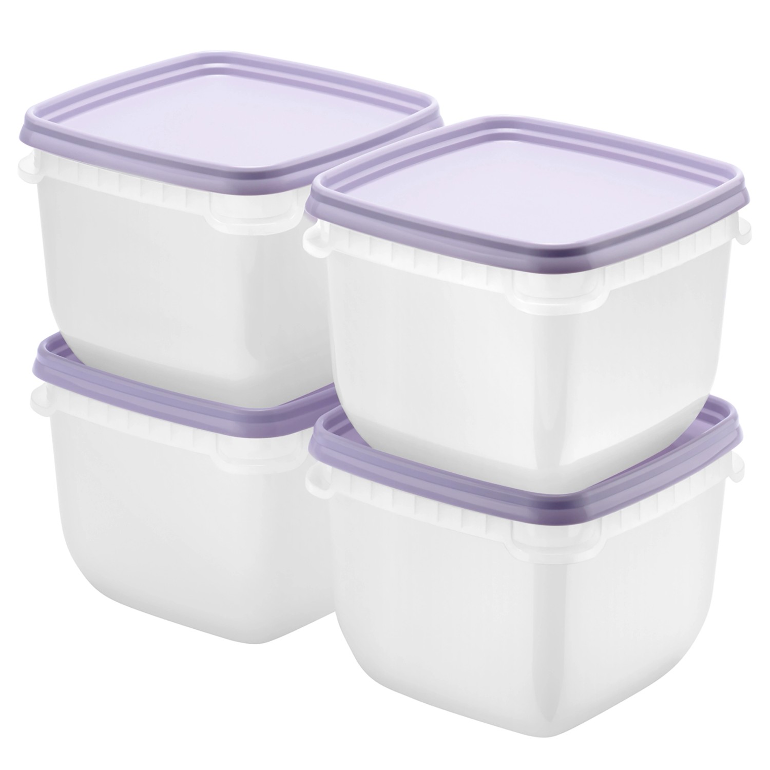 SmartStore Gefrierdose Frost 0,75 l Lavendel 4 Stück günstig online kaufen
