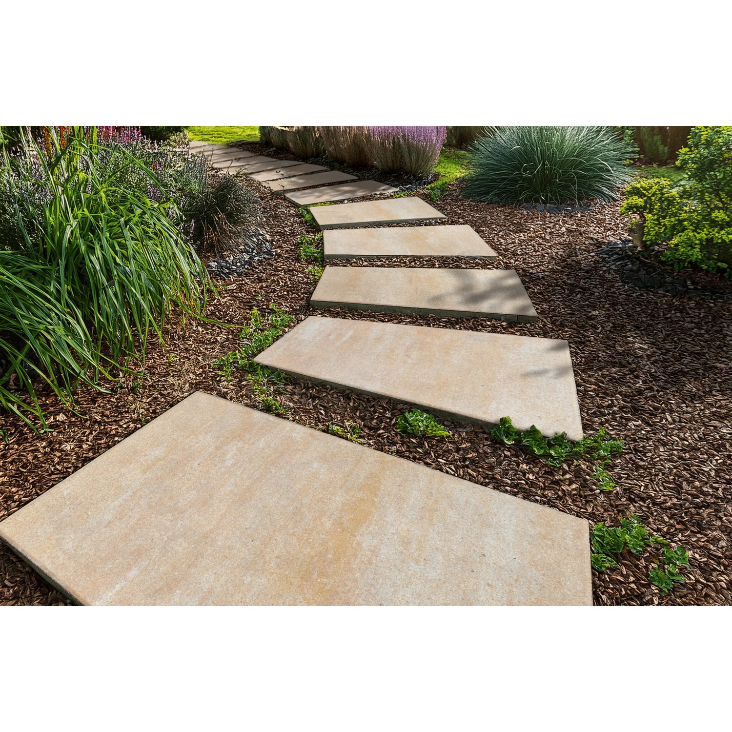 Diephaus Terrassenplatten Trapea PE2, sandweiß, 50x30x20x4 cm, als Gartenweg verlegt.
