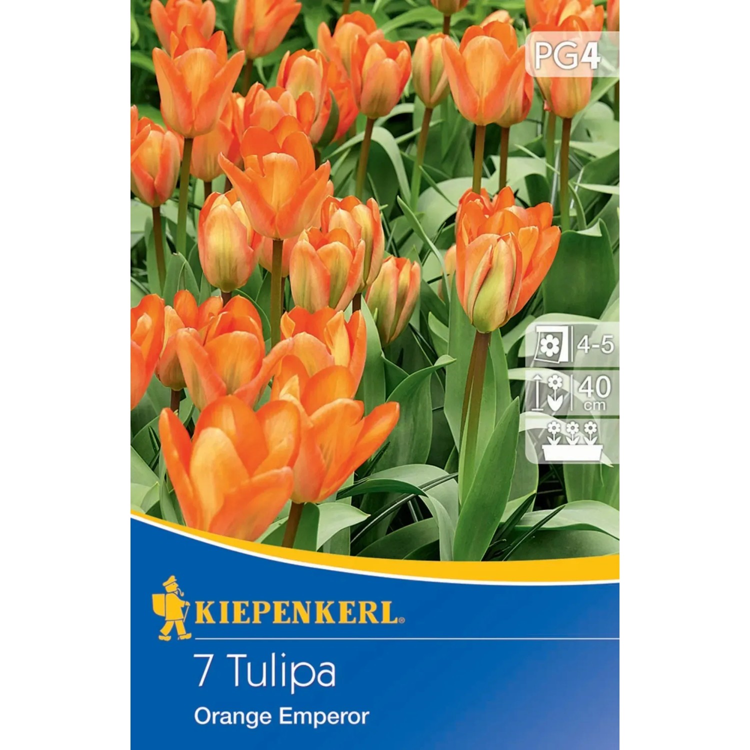 Nite Ize Gear Tie – Wiederverwendbare Gummi-Drehbänder | 61cm, 2er-Pack, Orange