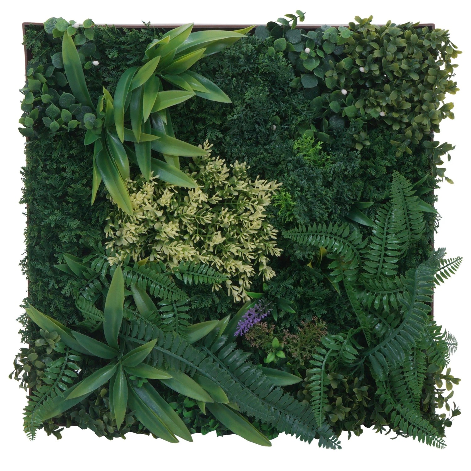 MCW Pflanzenwandbild O93 Bild In-/Outdoor 50x50cm