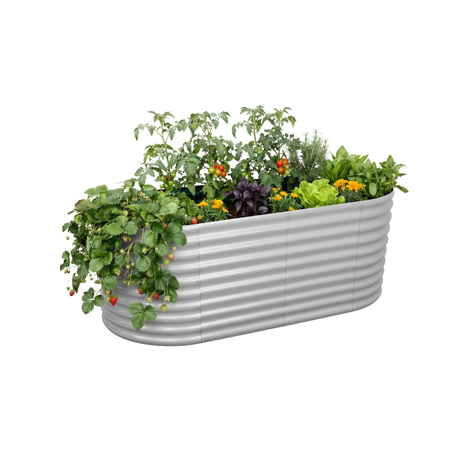 Relaxdays Hochbeet Metall Hellgrau Halbrund 80 cm x 160 cm x 80 cm