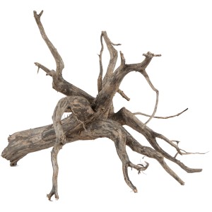 Detailaufnahme einer Sera Aquarien-Wurzel Scaper Root M (30-35 cm) für Aquarien.