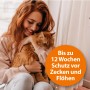 Frau hält Katze im Arm. Ardap Spot-On Zeckenschutz für Katzen bis 12 Wochen.