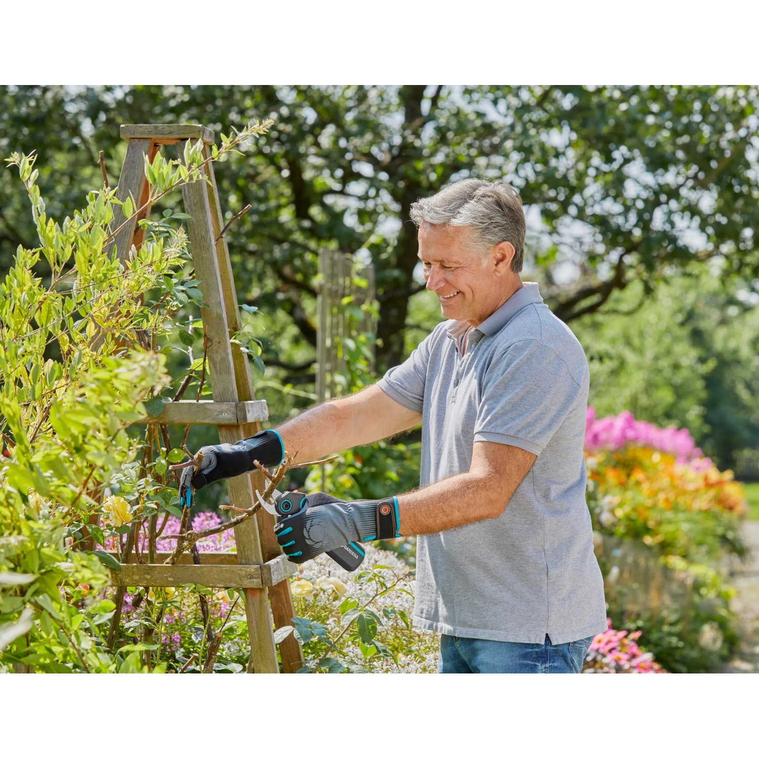 Mann schneidet Rosen mit Gardena Assistcut Gartenschere. Batterieunterstützte Schere für Gartenhandgeräte.