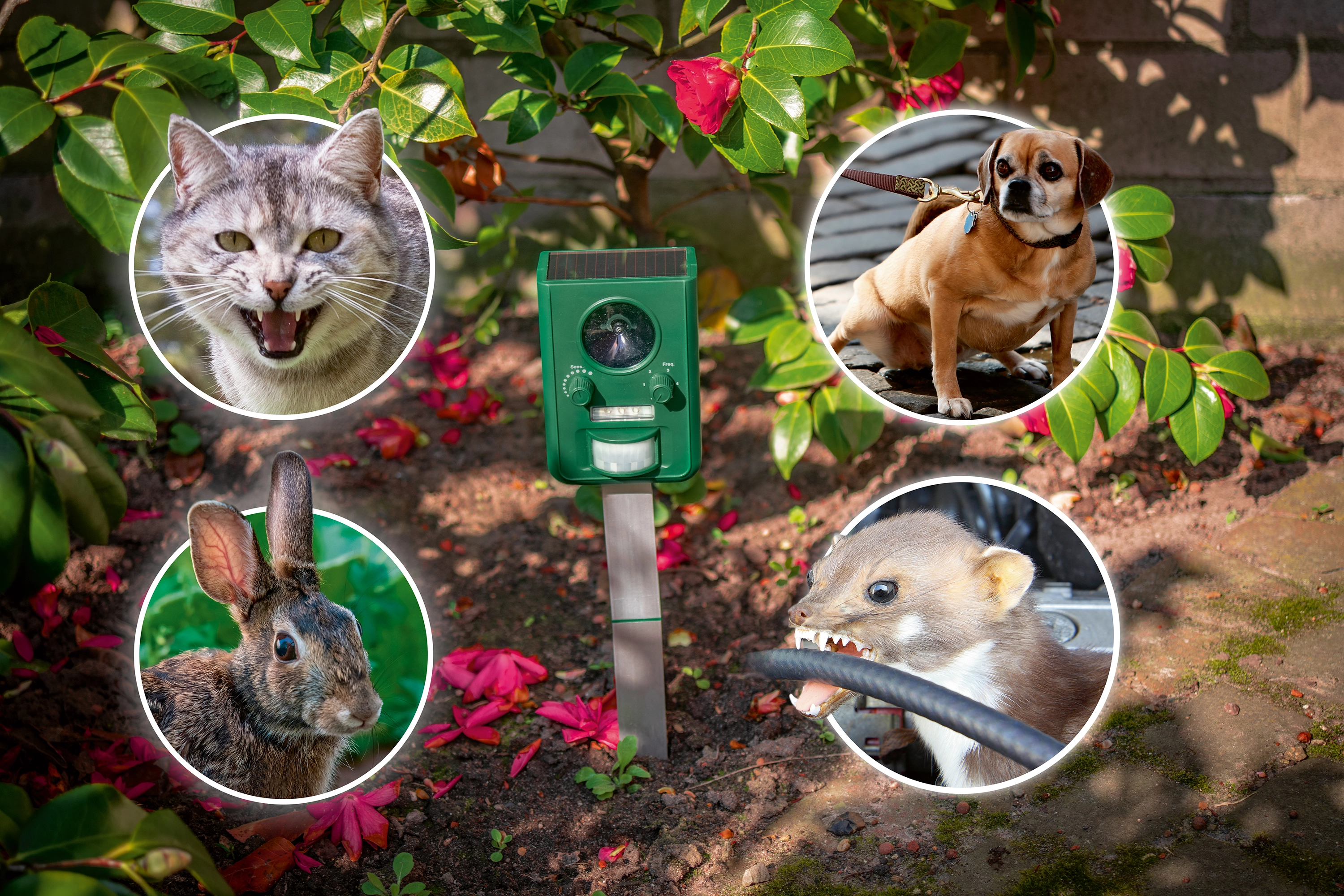 Tierschreck bei OBI – Alles für Heim, Haus, Garten und Bau