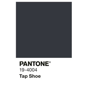 Dunkelgraue Alpina Innenfarbe Pantone Tap Shoe Farbmuster. Matte Wandfarbe in Schwarz für Wände und Decken.