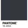 Dunkelgraue Alpina Innenfarbe Pantone Tap Shoe Farbmuster. Matte Wandfarbe in Schwarz für Wände und Decken.
