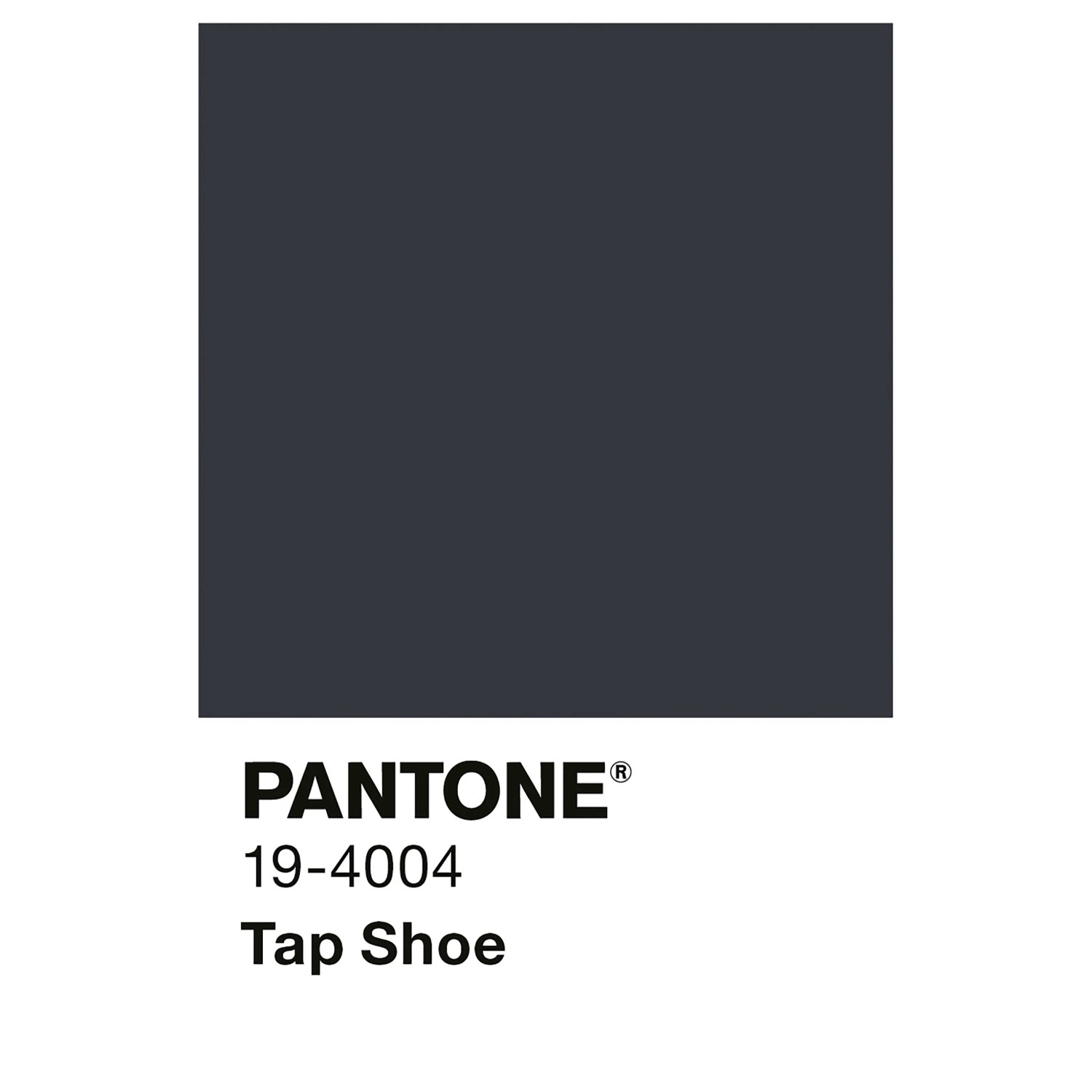 Dunkelgraue Alpina Innenfarbe Pantone Tap Shoe Farbmuster. Matte Wandfarbe in Schwarz für Wände und Decken.