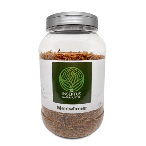 Insektus Mehlwürmer im 2.5L Vorratsglas, proteinreiches Teichfutter für Fische, Vögel und Reptilien.
