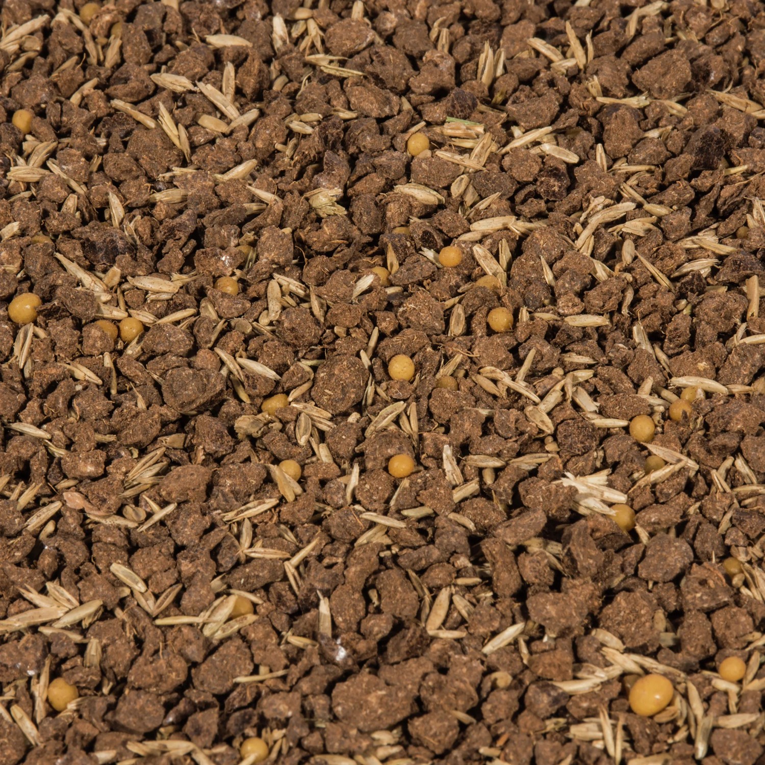 Compo Rasensaat Rasenreparatur Komplett Mix+ 4 kg kaufen bei OBI
