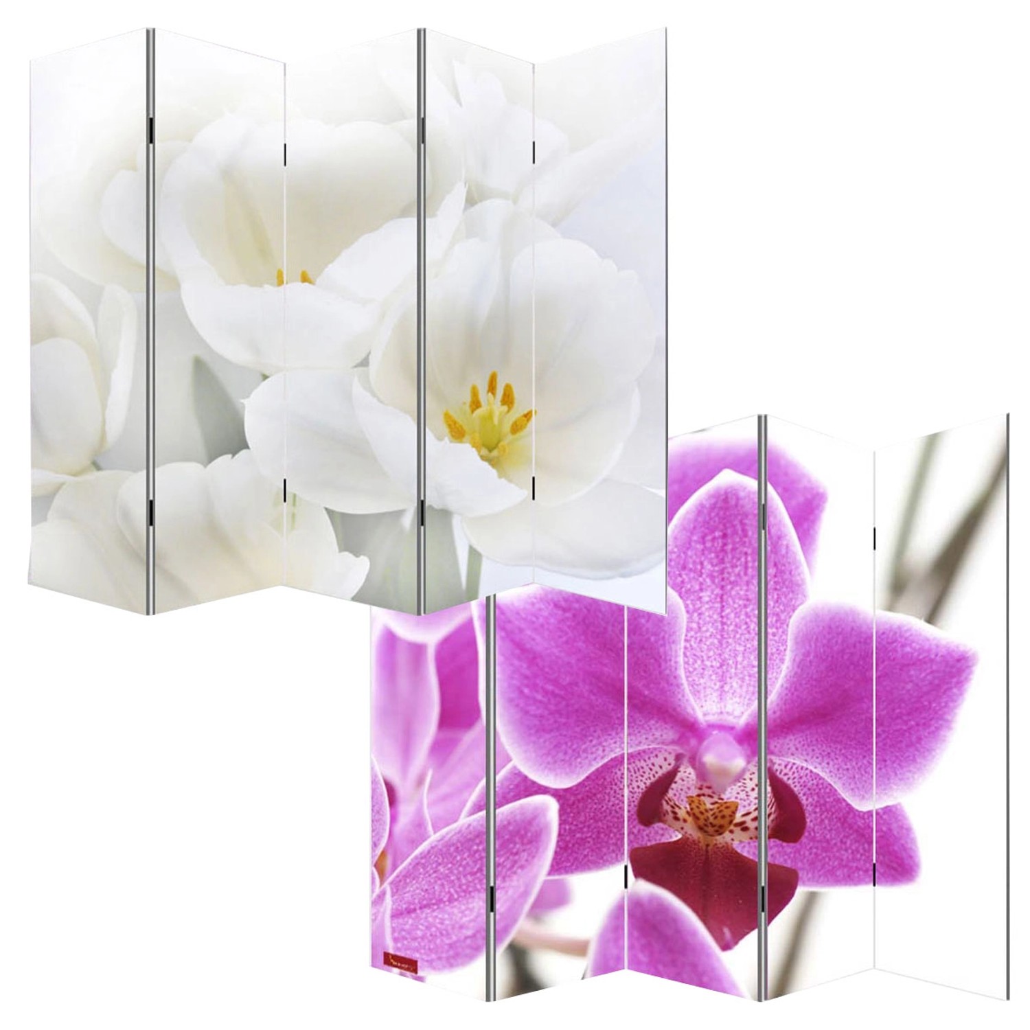 MCW Foto-Paravent Bagheria 180x200cm Orchidee günstig online kaufen