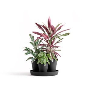 Ecopots Pflanztopf Dubai Dunkelgrau Ø 57 cm / Höhe 30 cm