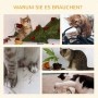 Collage: Katzen beim Kratzen an Möbeln, Spielen mit Kabeln, Zerstören von Pflanzen und Papier.
