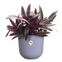 Lila Elho Blumentopf Jazz (Ø 16,5 cm) mit Pflanze. Strukturierter Übertopf für Innenräume.