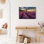 Leinwandbild Lavendelfeld im Sonnenuntergang, lila Wandbild für Wohn- und Schlafzimmer.