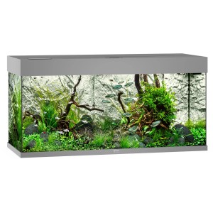 Graues Juwel Aquarium Rio LED 180 l Komplettset mit Fischen, Pflanzen und Dekoration.
