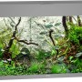 Graues Juwel Aquarium Rio LED 180 l Komplettset mit Fischen, Pflanzen und Dekoration.