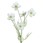 Kunstblume Cosmea, 67 cm, Creme. Dekorative Kunstpflanze für den Innenbereich.