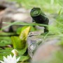 Summer Fun Smart Garden Cam Outdoor WiFi Kamera im Garten am Teich.