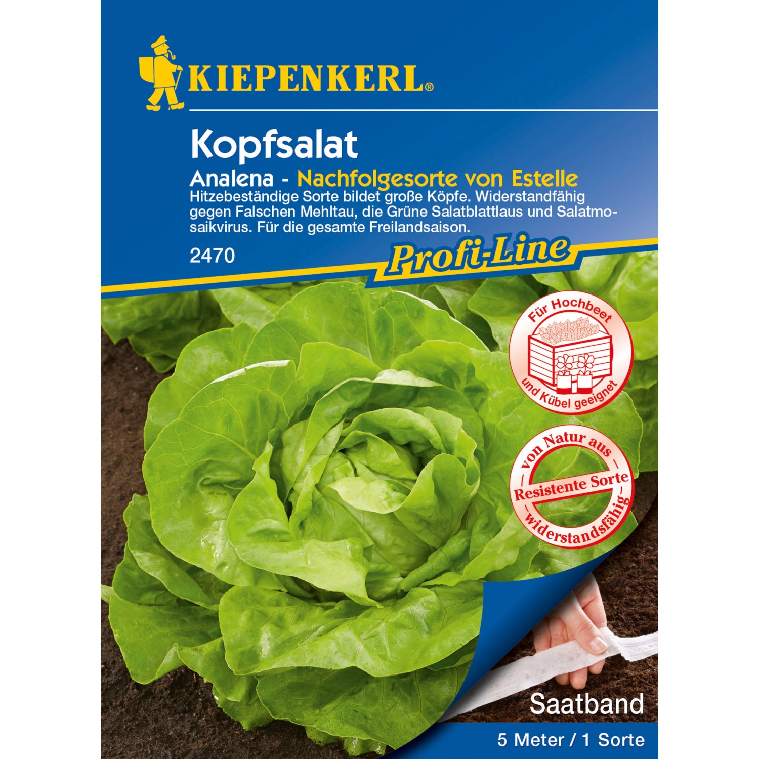 Kiepenkerl Kopfsalat Analena Saatband