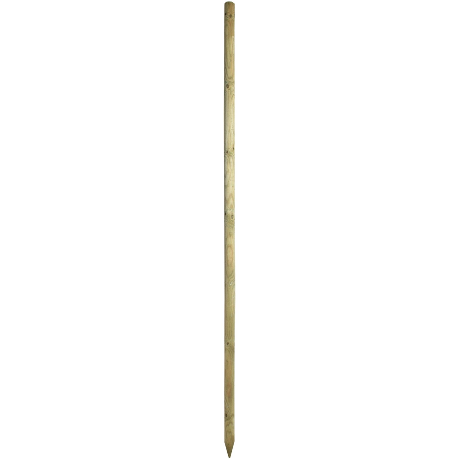 Baumpfahl Ø 6 cm x H 250 cm druckimprägniert FSC® kaufen bei OBI