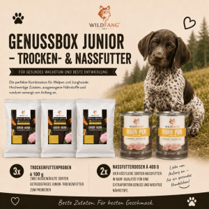 Wildfang Genussbox Junior Trocken- & Nassfutter Lachs & Rind