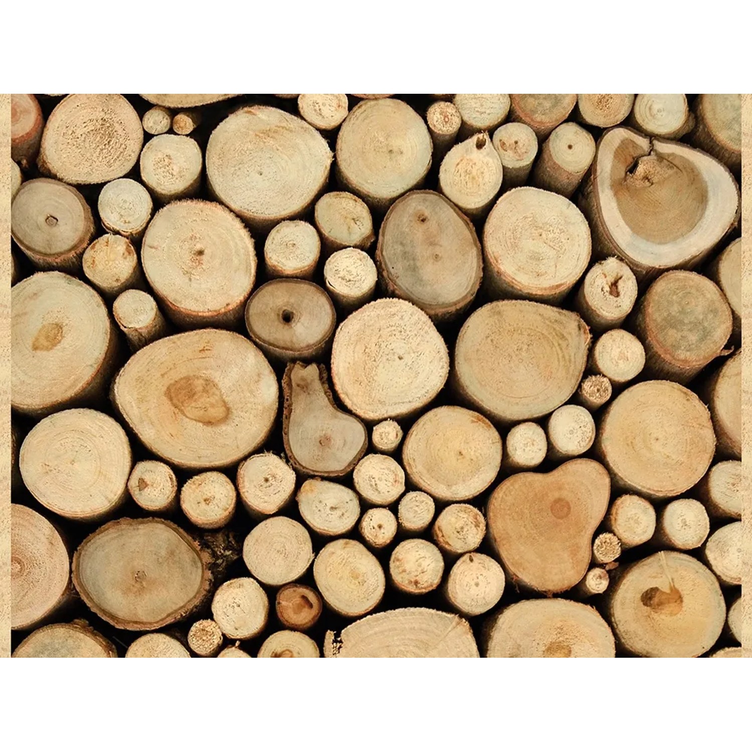 living walls Bordüre pop.up Panel, glatt, Holz, Holzstapel, selbstklebend