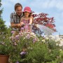 Vater und Tochter bewässern Blumen mit der Hozelock Flexi Spray Gartenbrause.