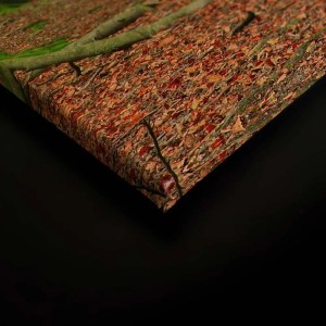 Bricoflor Leinwandbild Natur 120x80 cm mit Waldmotiv in Grün und Braun für die Wanddekoration.