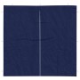 vidaXL Party Zelt Seitenteil 2 Stk Blau 200 x 195 cm PE und Stahl 42033011_3
